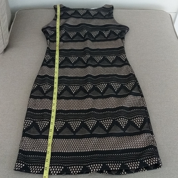 Sleeveless Lace Dress - Picture 8 of 9